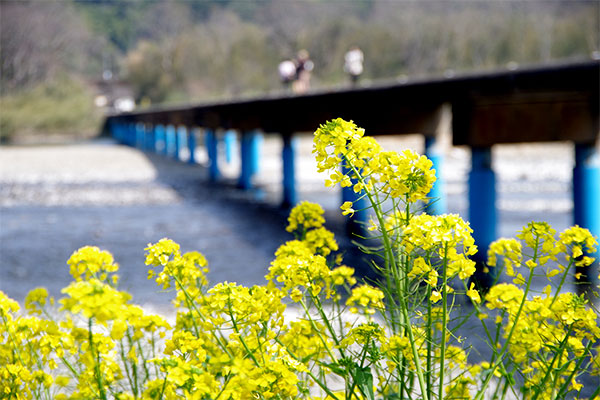 佐田沈下橋